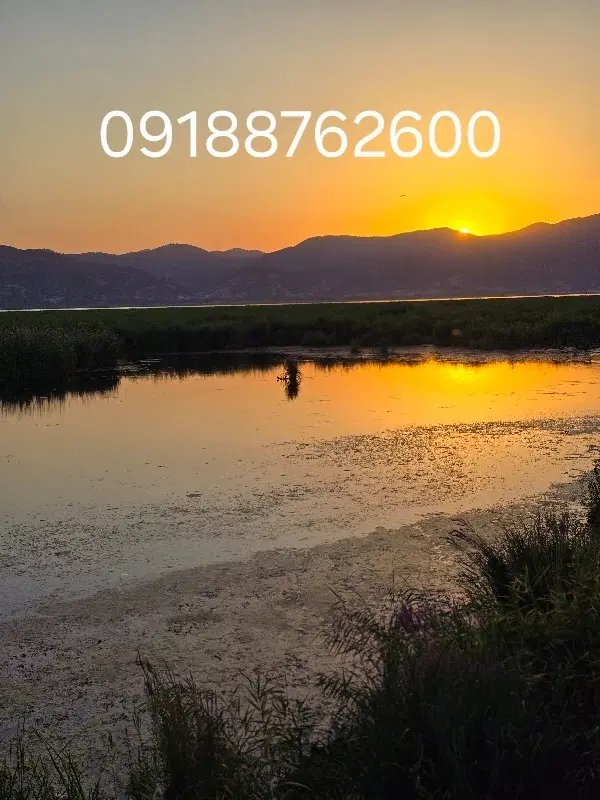 سیم کارت|سیم‌کارت|مریوان, |دیوار