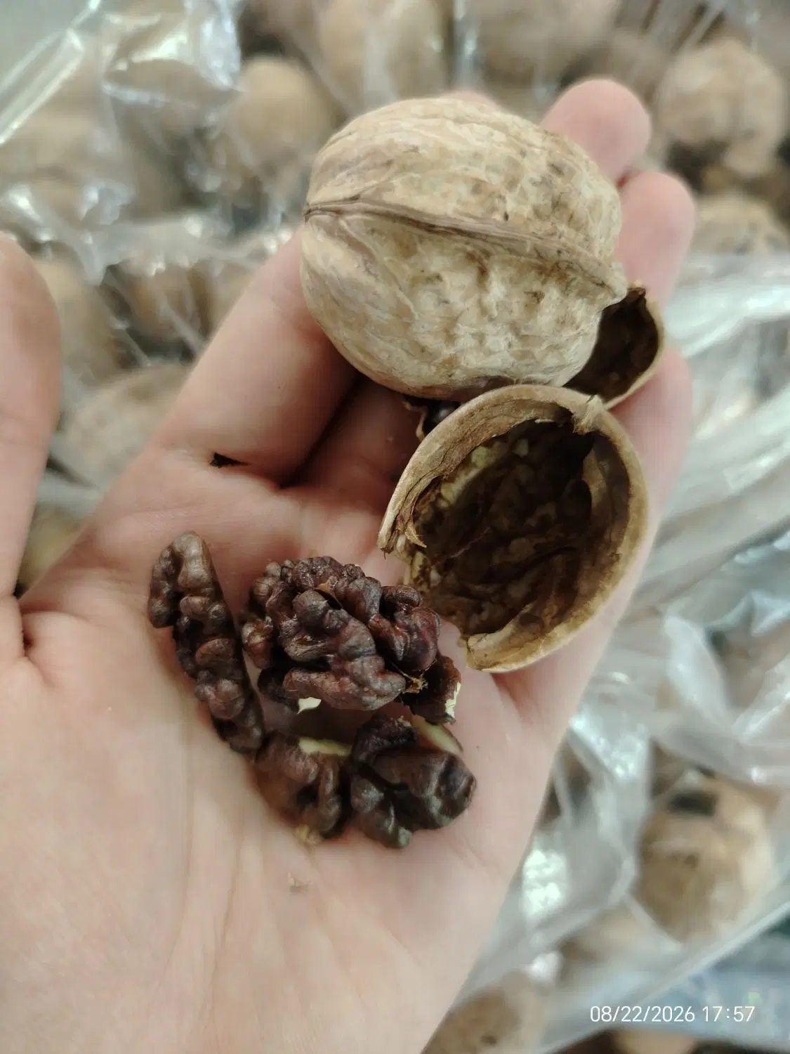 گردو|خوردنی و آشامیدنی|بیرجند, |دیوار