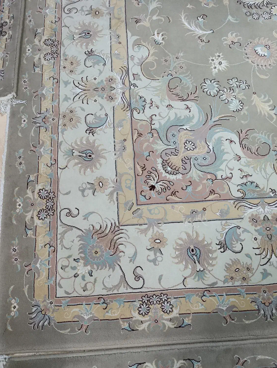 فرش پاتریس 12متری|فرش|الیگودرز, |دیوار