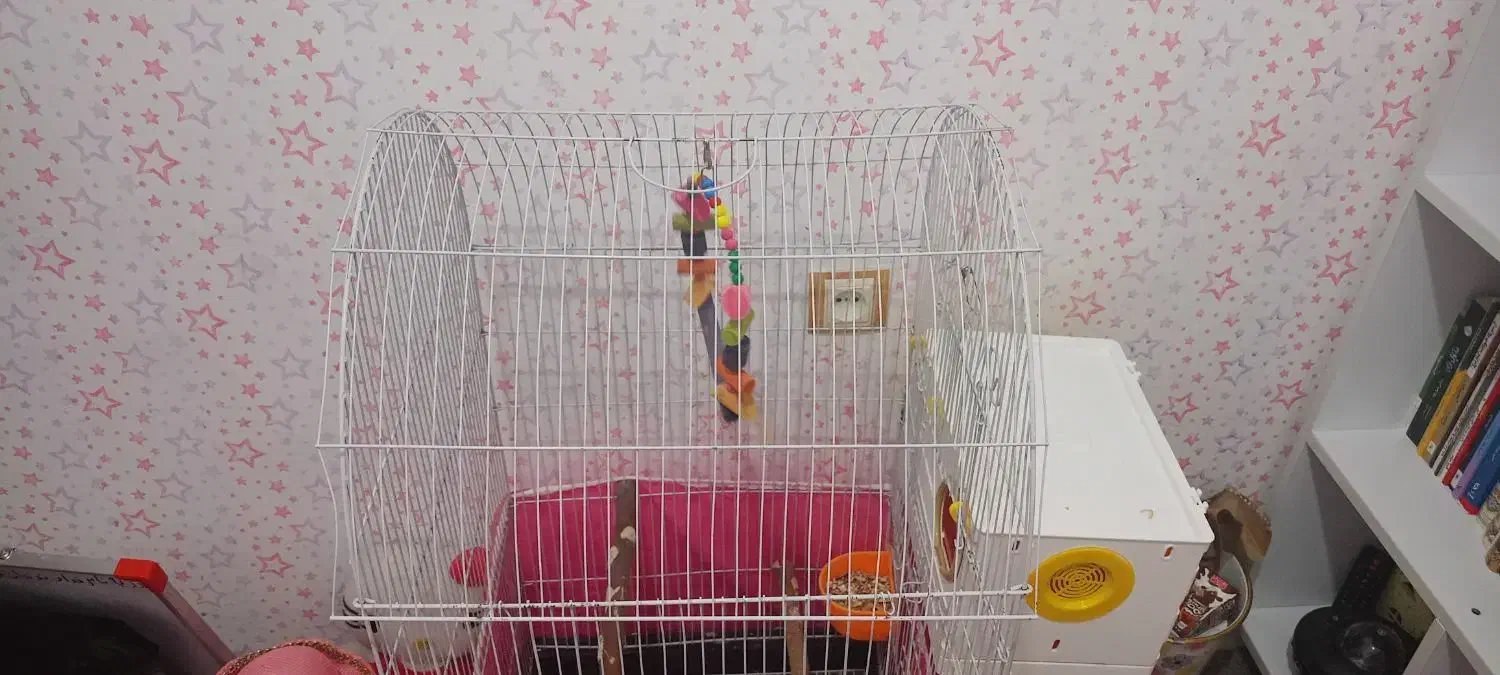 قفس بزرگ با تمام وسایل|لوازم جانبی حیوانات|سنندج, |دیوار