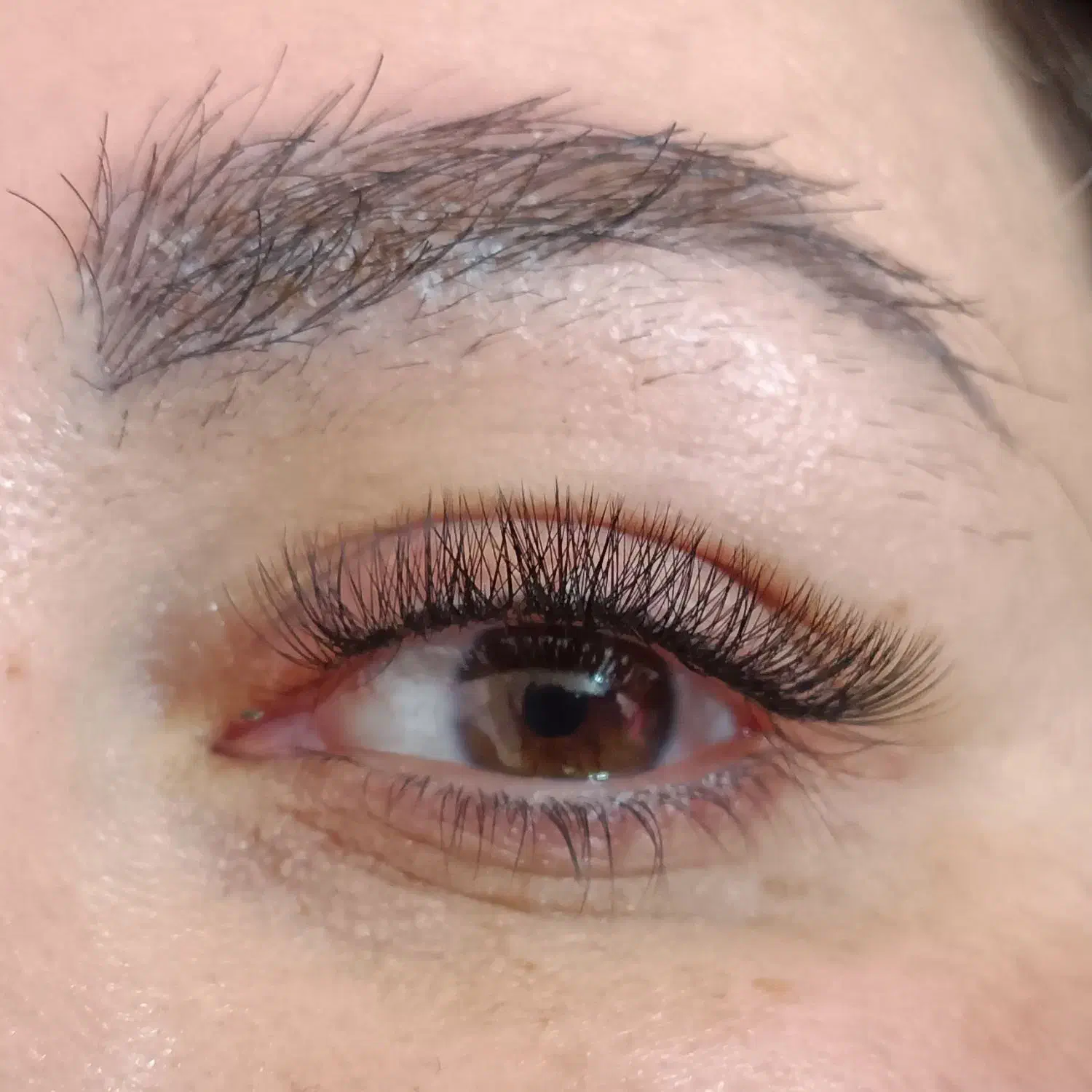 اکستنشن مژه ولیفت و لمینت مژه وابرو|خدمات آرایشگری و زیبایی|رشت, منظریه|دیوار