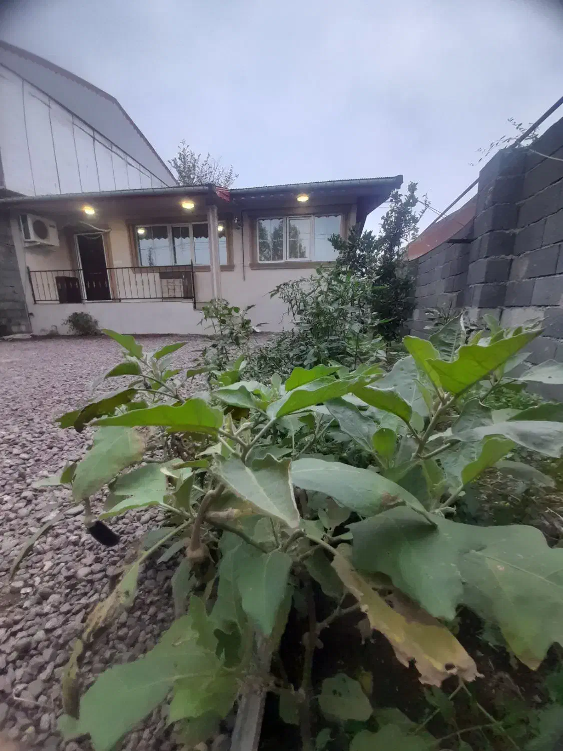 300متر زمین 100متر بنا دوخواب مبله|اجارهٔ خانه و ویلا|رانکوه, |دیوار