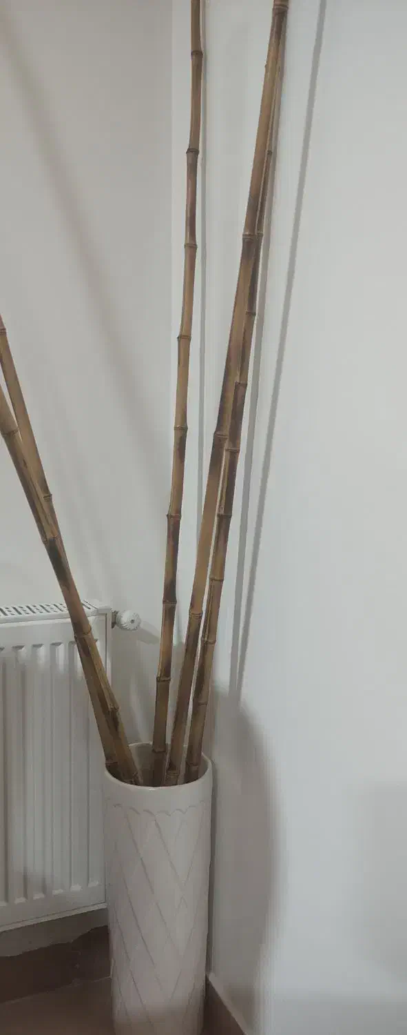 گلدان|گل مصنوعی|ایلام, |دیوار