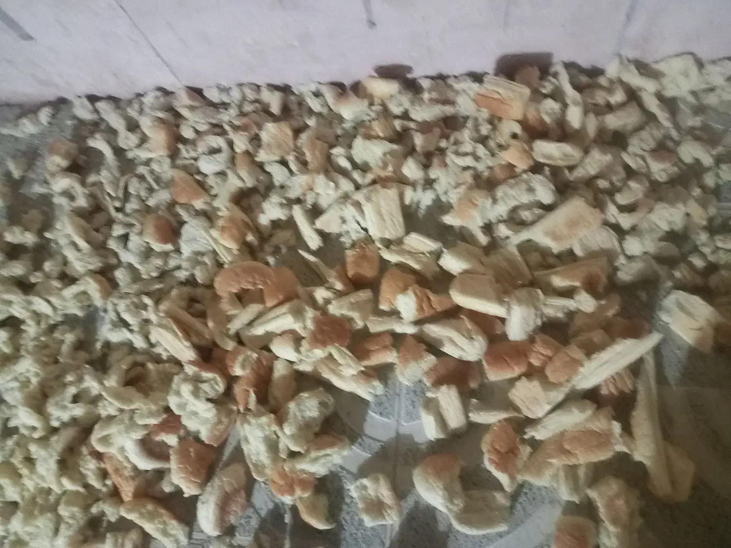 نان خشک|خوردنی و آشامیدنی|بندرعباس, |دیوار