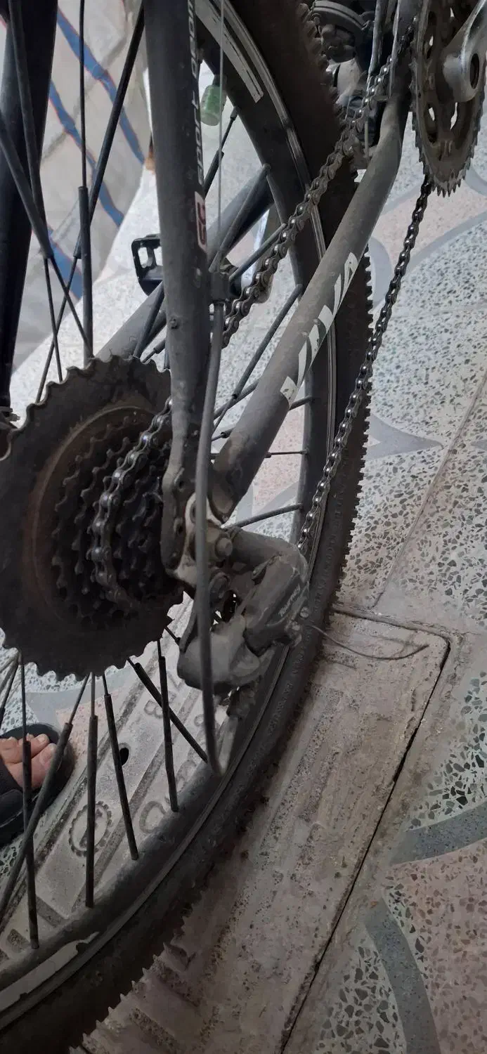 دوچرخه ویوا ۲۶|دوچرخه، اسکیت، اسکوتر|خمینی‌شهر, |دیوار