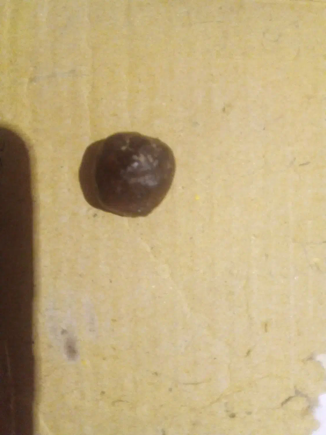 شهاب سنگ|کلکسیون اشیاء عتیقه|بجنورد, |دیوار