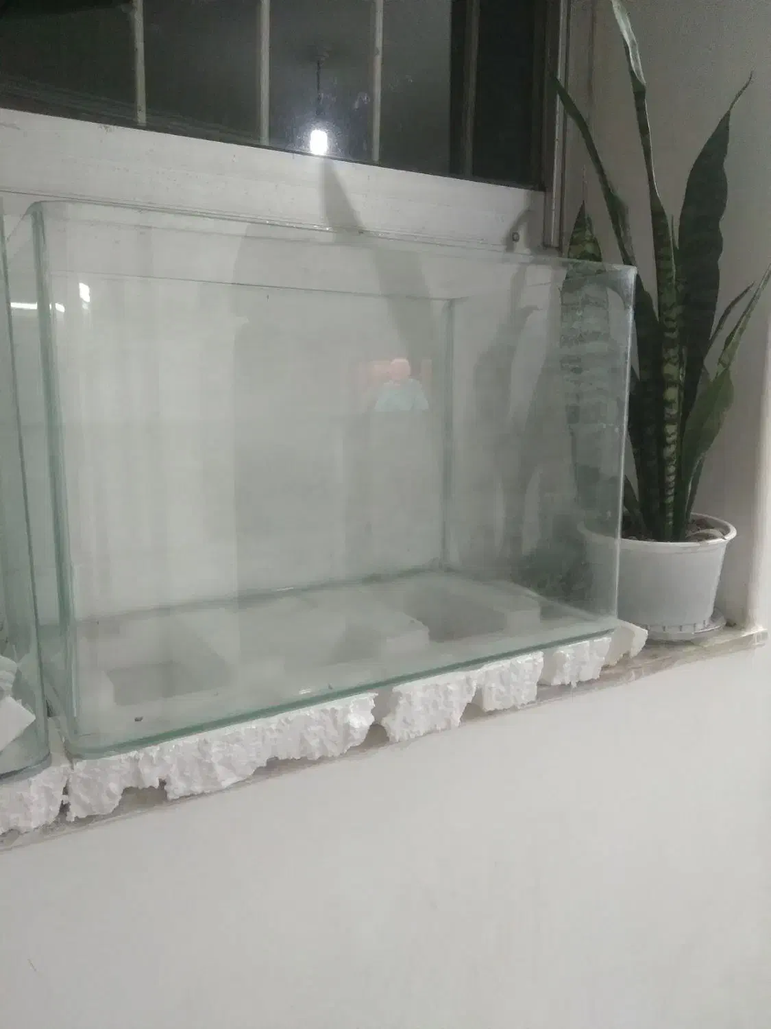 دوعدد آکواریوم در حد نو|ماهی|لنگرود, |دیوار