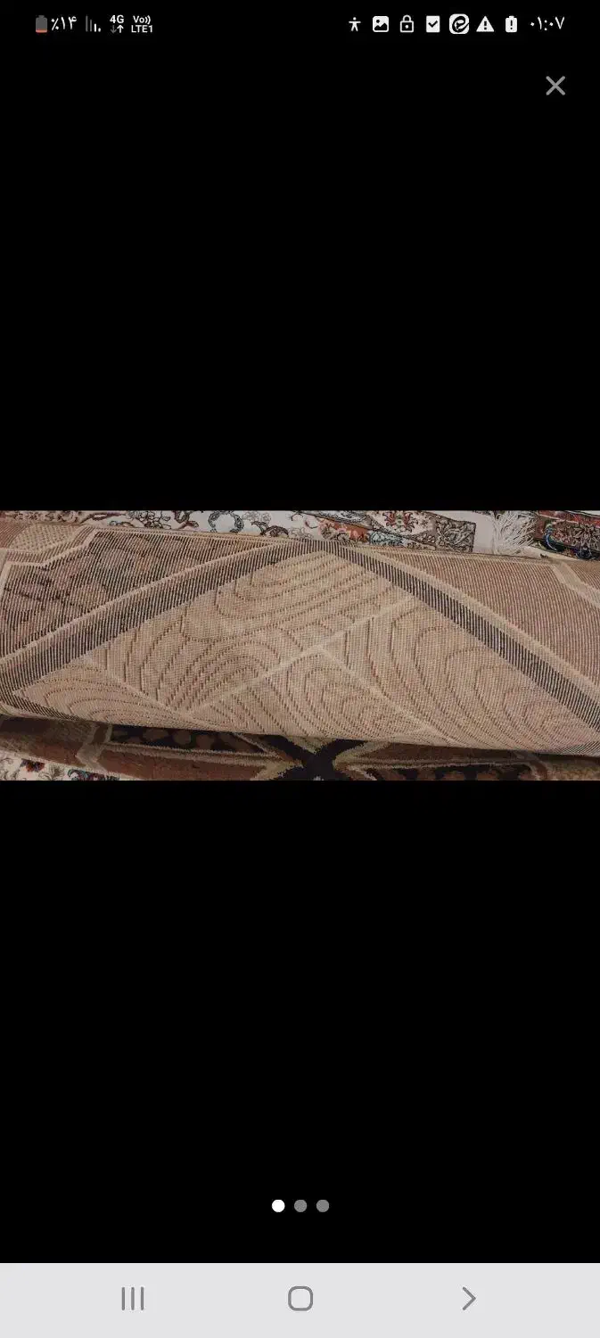 قالی|فرش|بوشهر, |دیوار