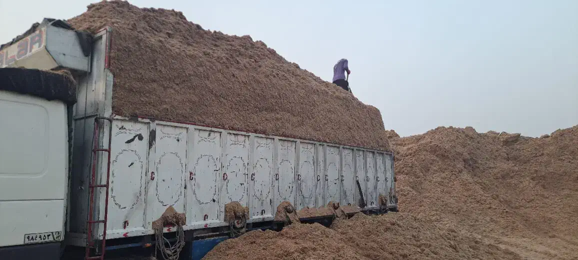 اغذیه مناسب کاه صنعتی|خدمات باغبانی و درختکاری|بم, |دیوار