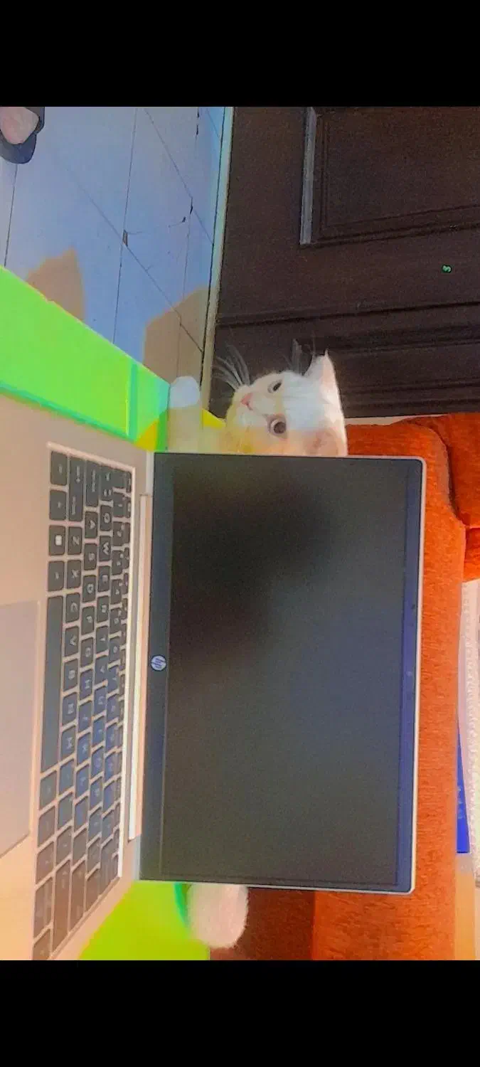 فروش لپتاپ  اچ پی HP proBook 430 G8|رایانه همراه|تبریز, |دیوار