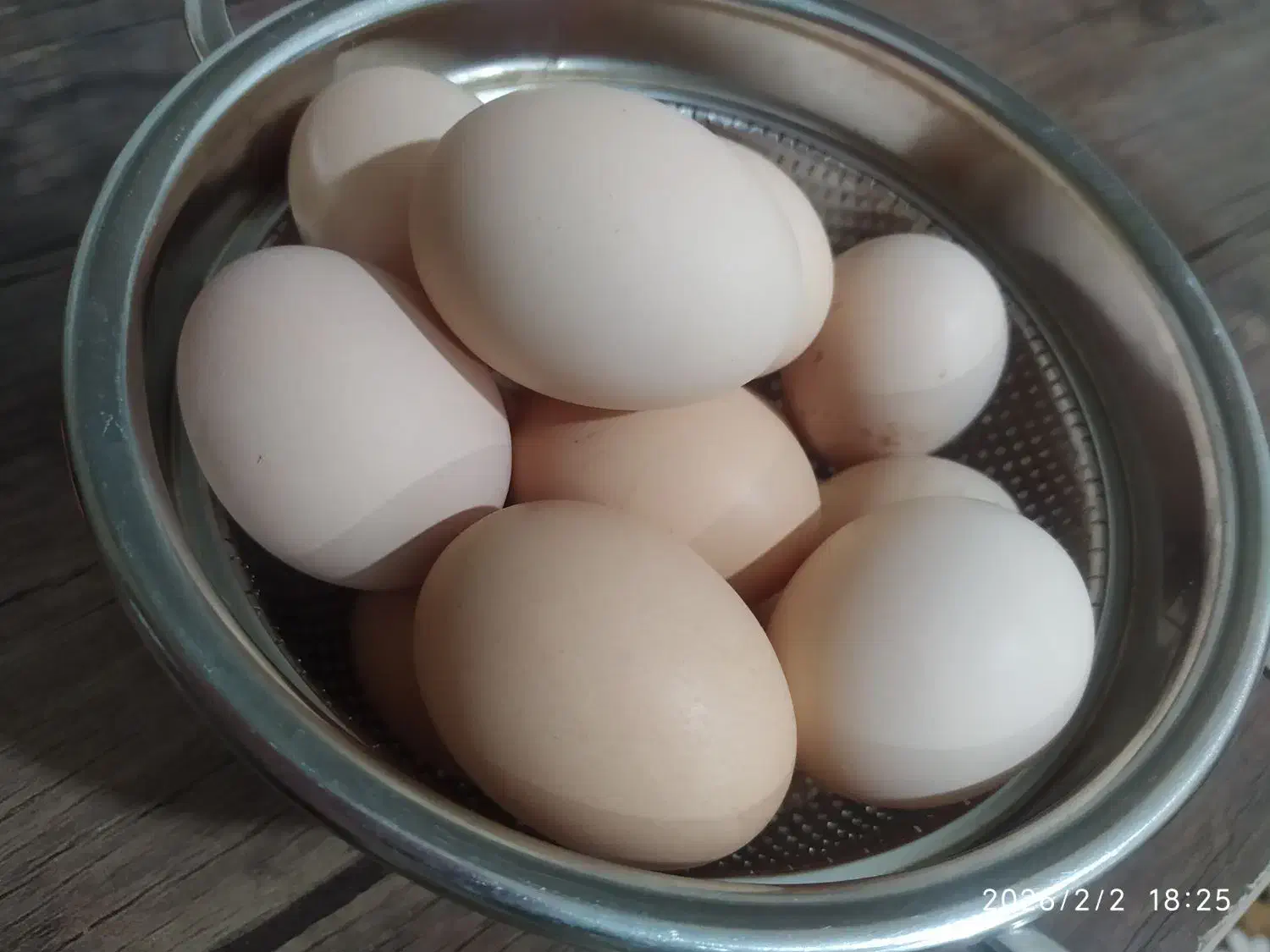 تخم نطفه دار|حیوانات مزرعه|کرمانشاه, |دیوار