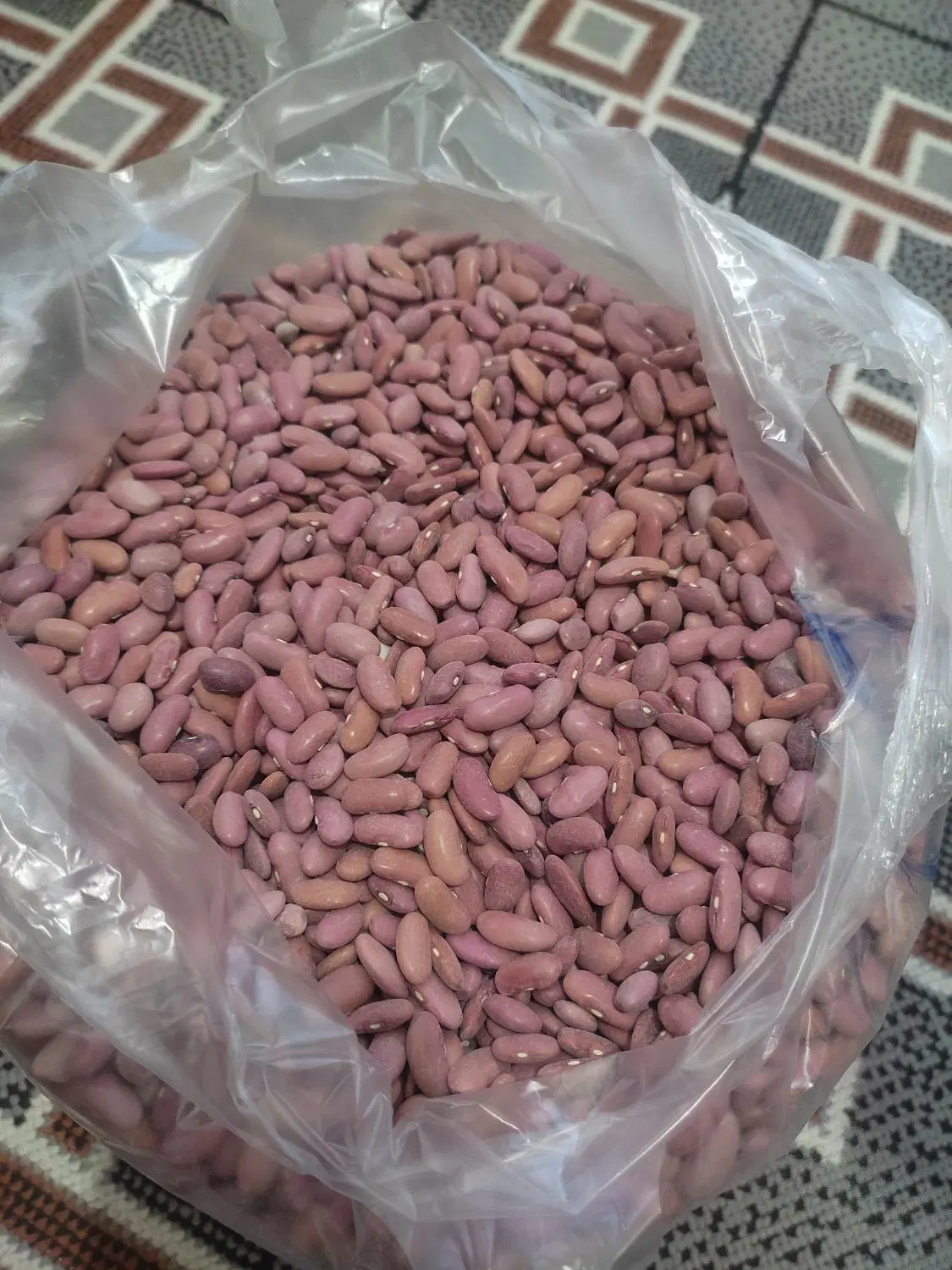 لوبیا|خوردنی و آشامیدنی|خنجین, |دیوار