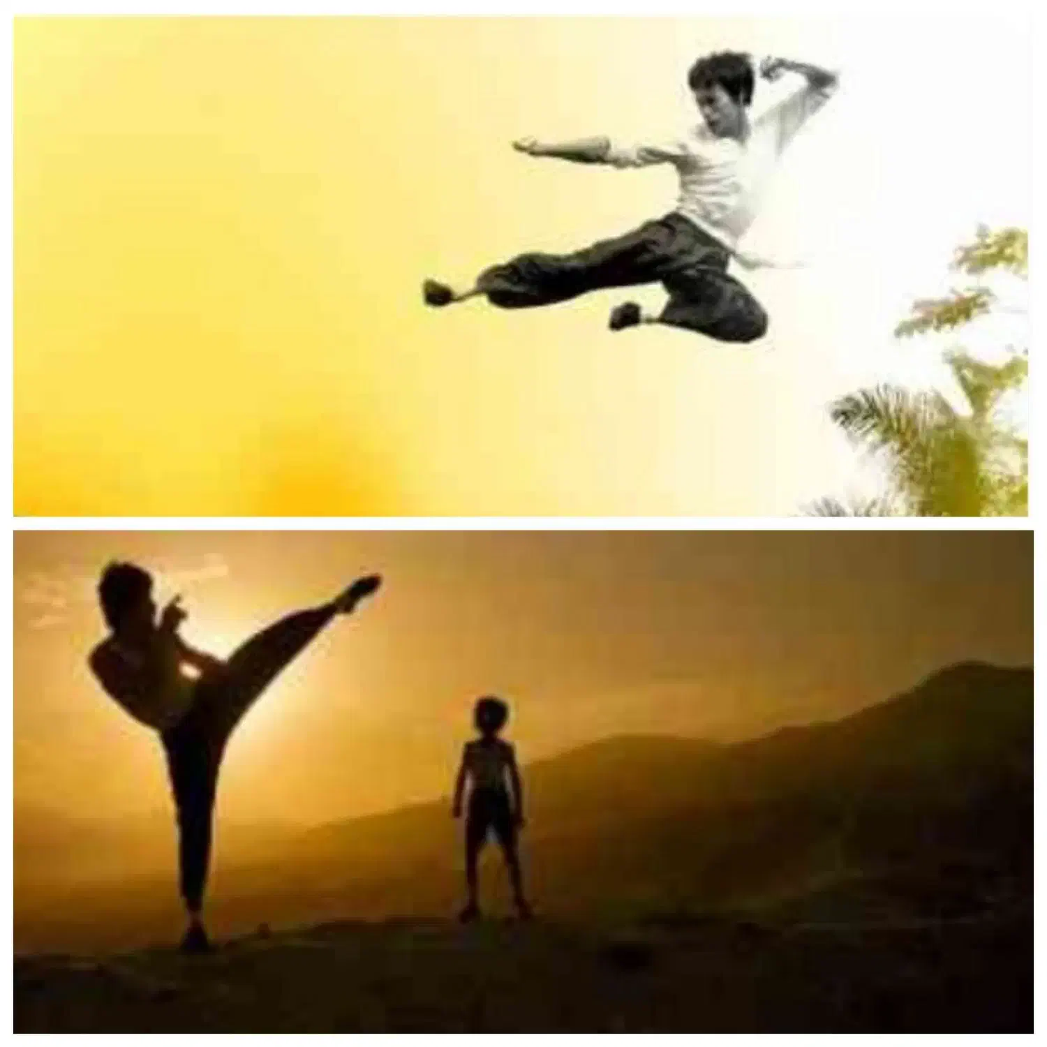 آکادمی استعدادیابی کونگ فو|خدمات آموزشی|شاهین‌شهر, مخابرات (شهید بهشتی)|دیوار