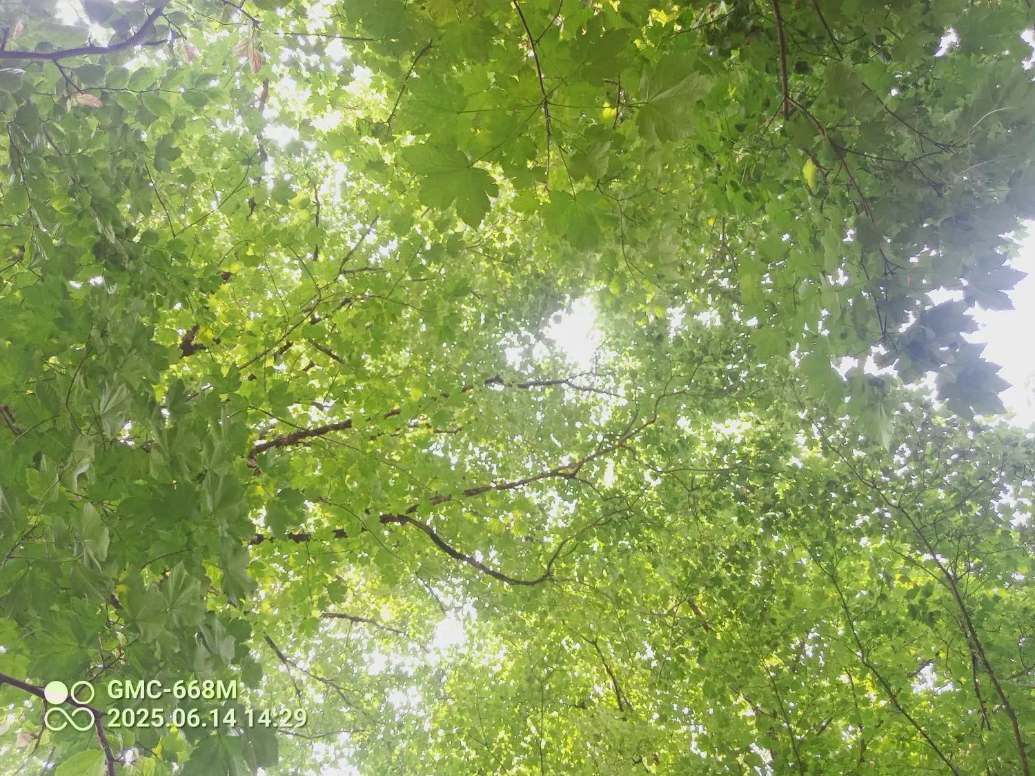 نظافت منزل ویلا آپارتمان|خدمات نظافت|چمستان, |دیوار