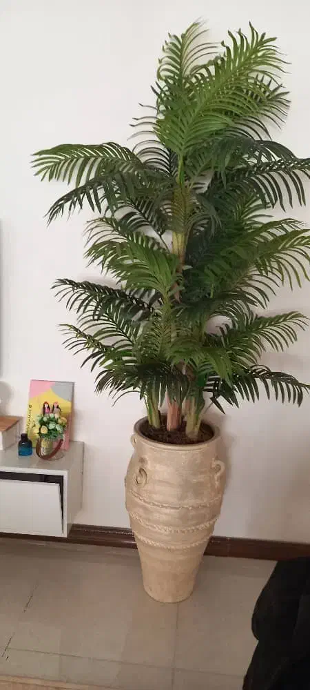 انواع درختچه با ارتفاعِ بلند|گل مصنوعی|ارومیه, |دیوار