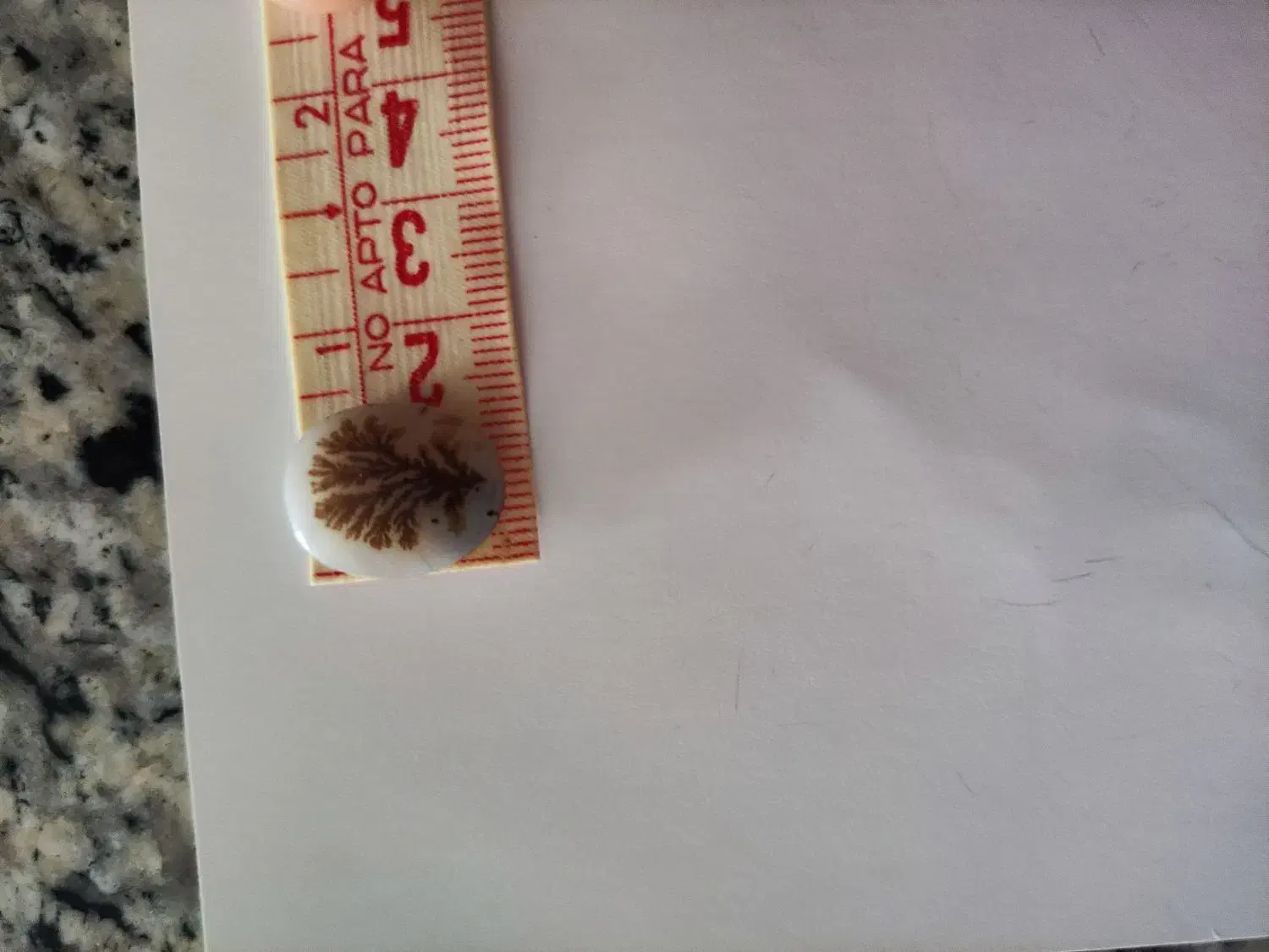 شجر|جواهرات|تهران, سلسبیل جنوبی|دیوار