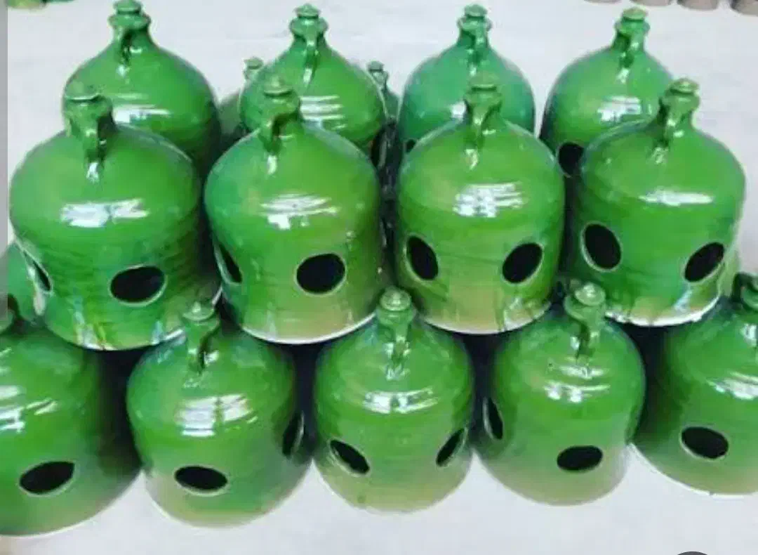 کفتر کبوتر|لوازم جانبی حیوانات|لاهیجان, کوی زمانی|دیوار