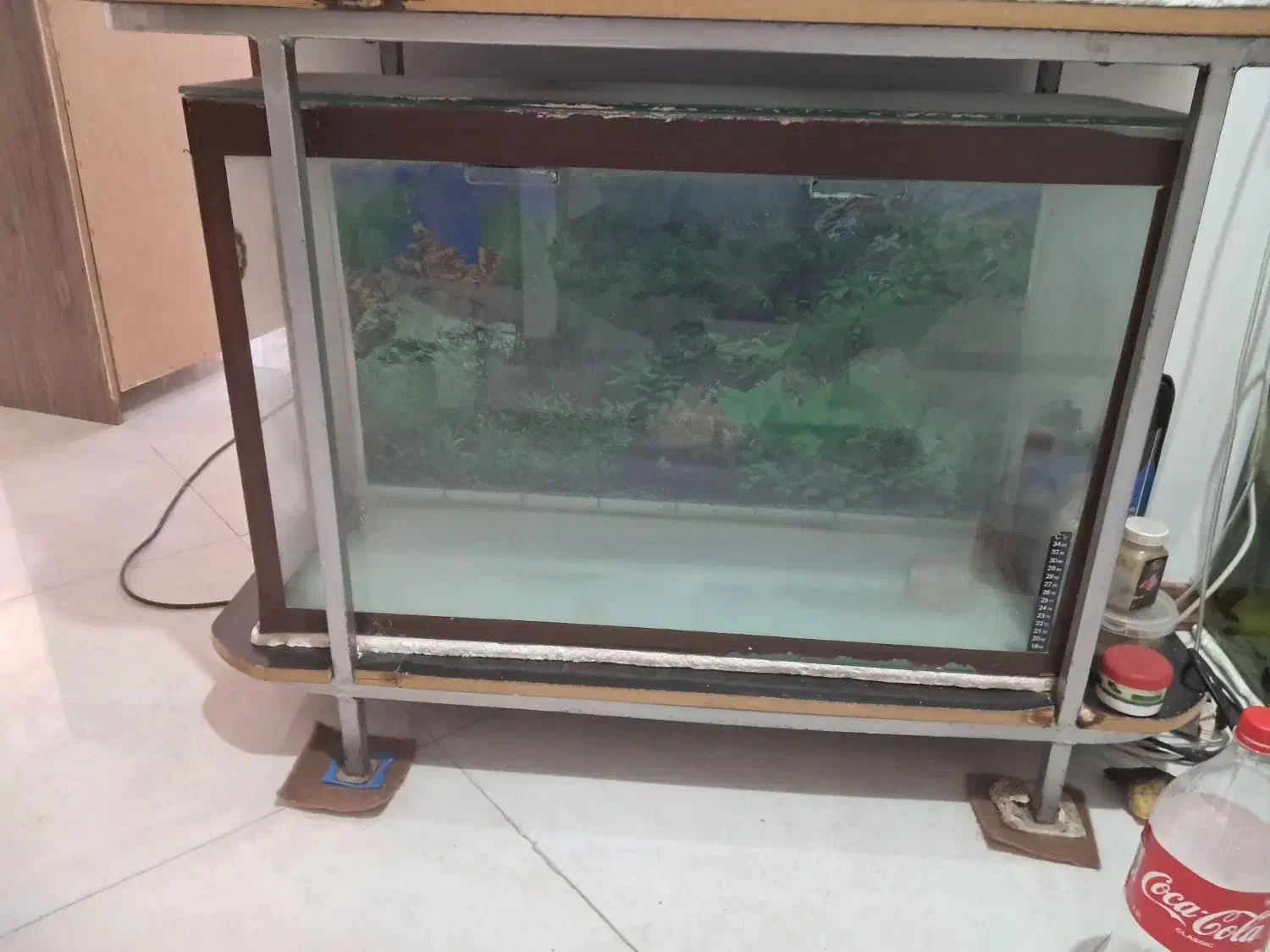 فروش 3 عدد آکواریم به علت جا به جایی|لوازم جانبی حیوانات|مشهد, ادیب نیشابوری (شهرک غرب)|دیوار