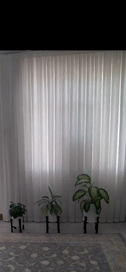 پرده|پرده، رانر، رومیزی|دورود, |دیوار