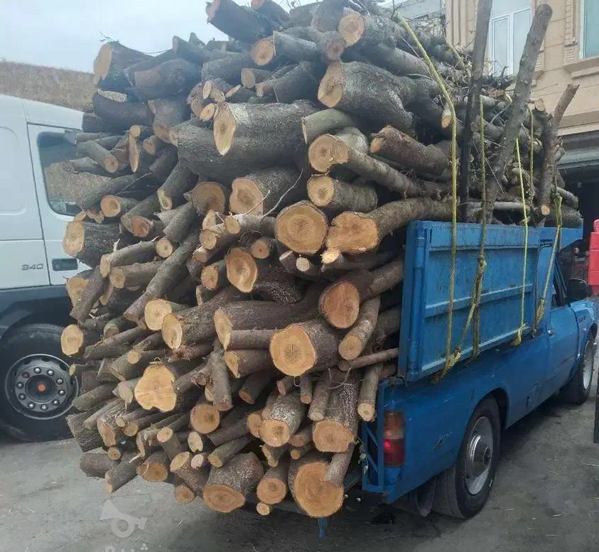 خریدچوب صنعتی هیزمی وزغالی|خدمات باغبانی و درختکاری|شهریار, شهریار|دیوار