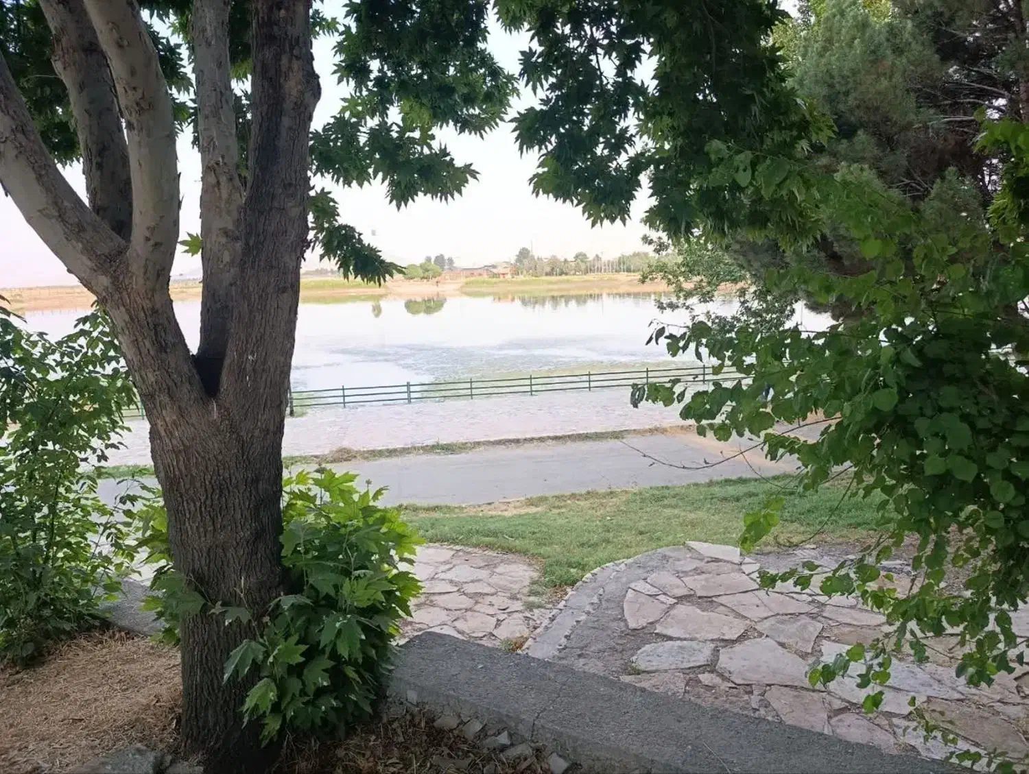 راهنمایی گمشده|حیوانات|ایلام, |دیوار