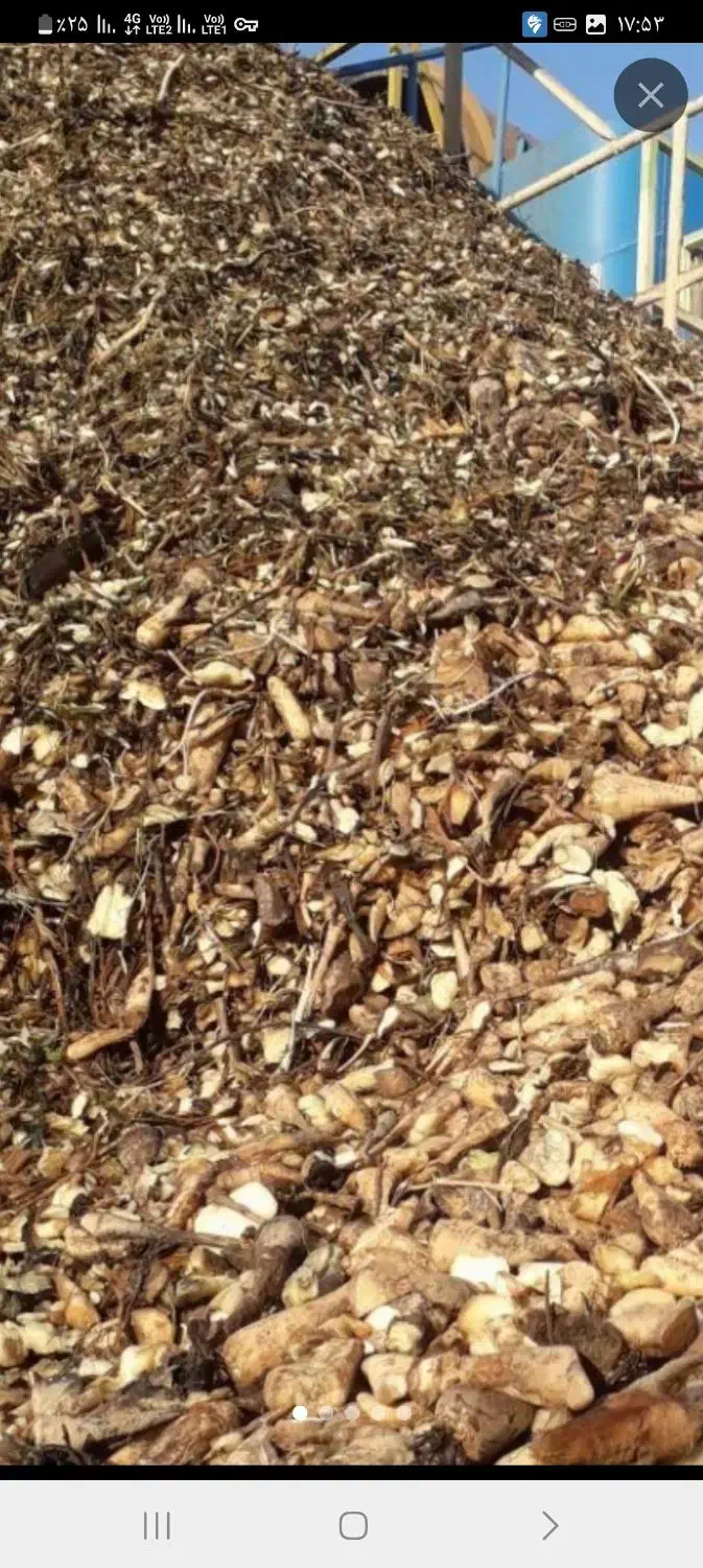 فروش چغندر قند برای لبو حیوانات تفاله وزارت علوفه|عمده‌فروشی|میانه, |دیوار