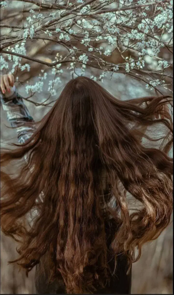 مرکز مو طبیعی پاکدشت|آرایشی، بهداشتی، درمانی|پاکدشت, پاکدشت (مامازند)|دیوار