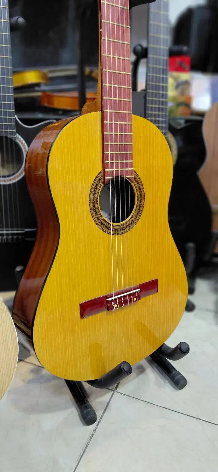 گیتار درجه یک با ضمانت کتبی با مدیریت دکتر حقیقی|گیتار، بیس، امپلیفایر|زنجان, |دیوار