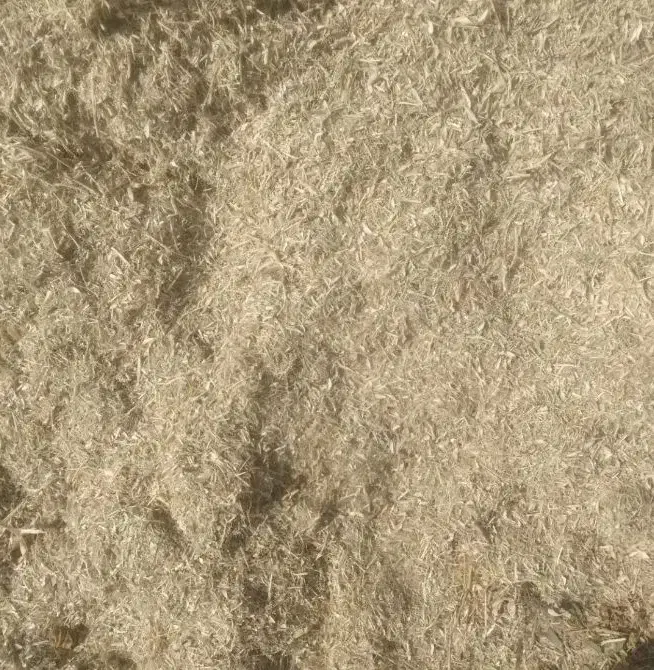 کاه ماش تازه|لوازم جانبی حیوانات|دوگنبدان, |دیوار