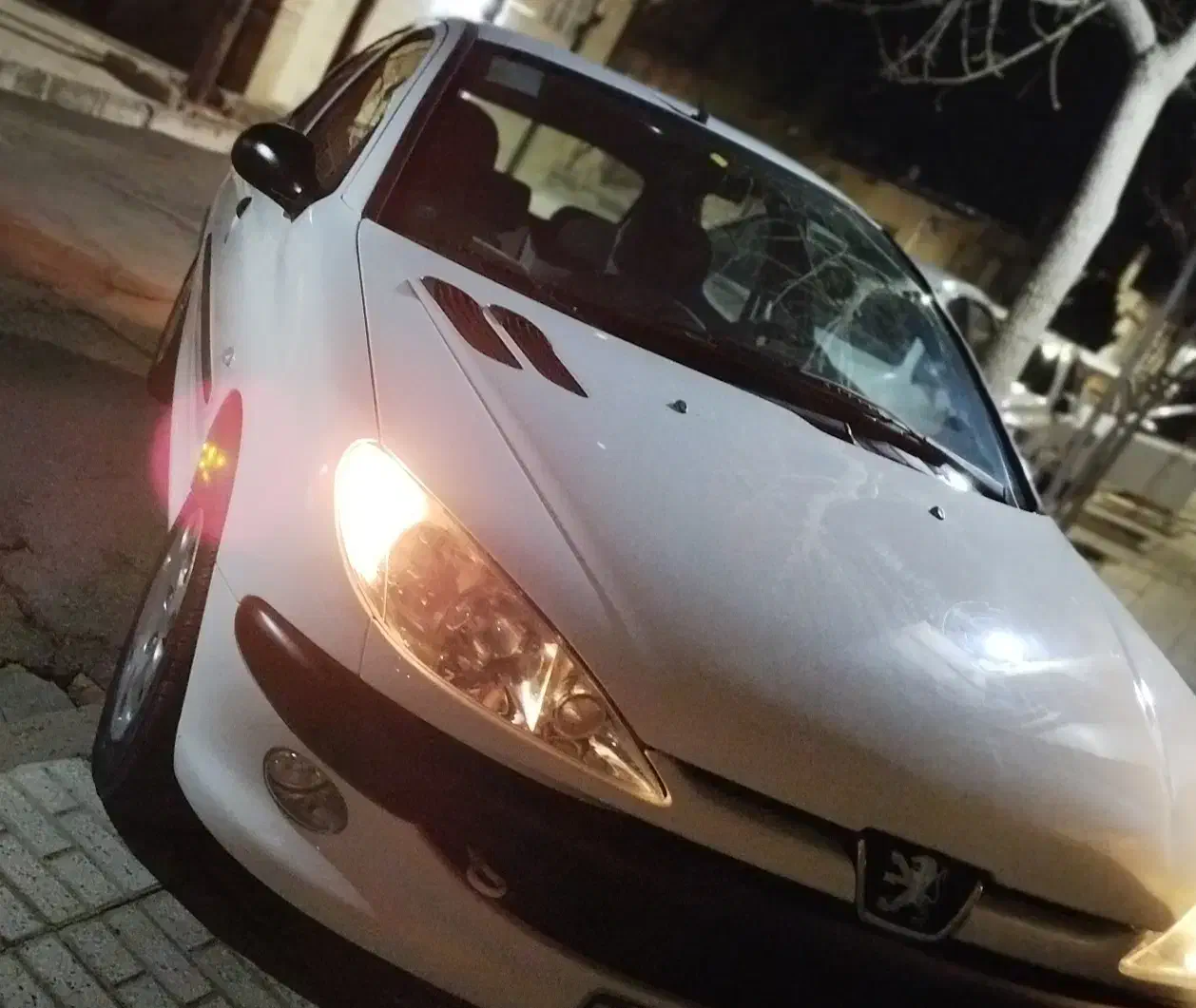 پژو 206|خودرو سواری و وانت|تربت‌حیدریه, شهرک ولیعصر|دیوار