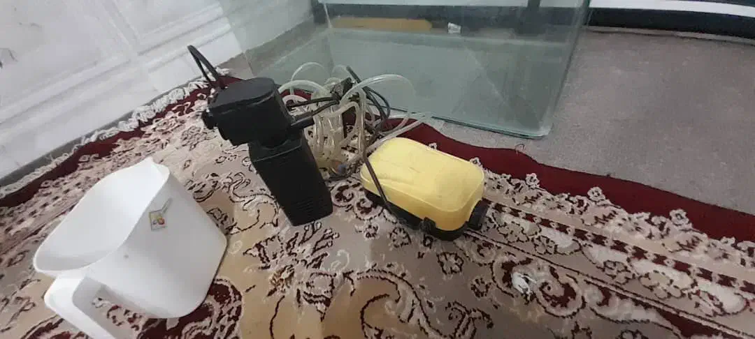 آکواریوم همراه تصویه|ماهی|مشهد, نیزه|دیوار