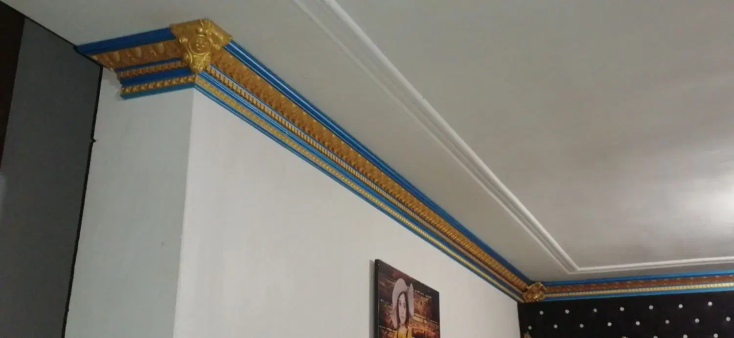 کتیبه سقفی وسط هال و راوی بیخ دیوار سقف|مصالح و تجهیزات ساختمان|مینودشت, |دیوار