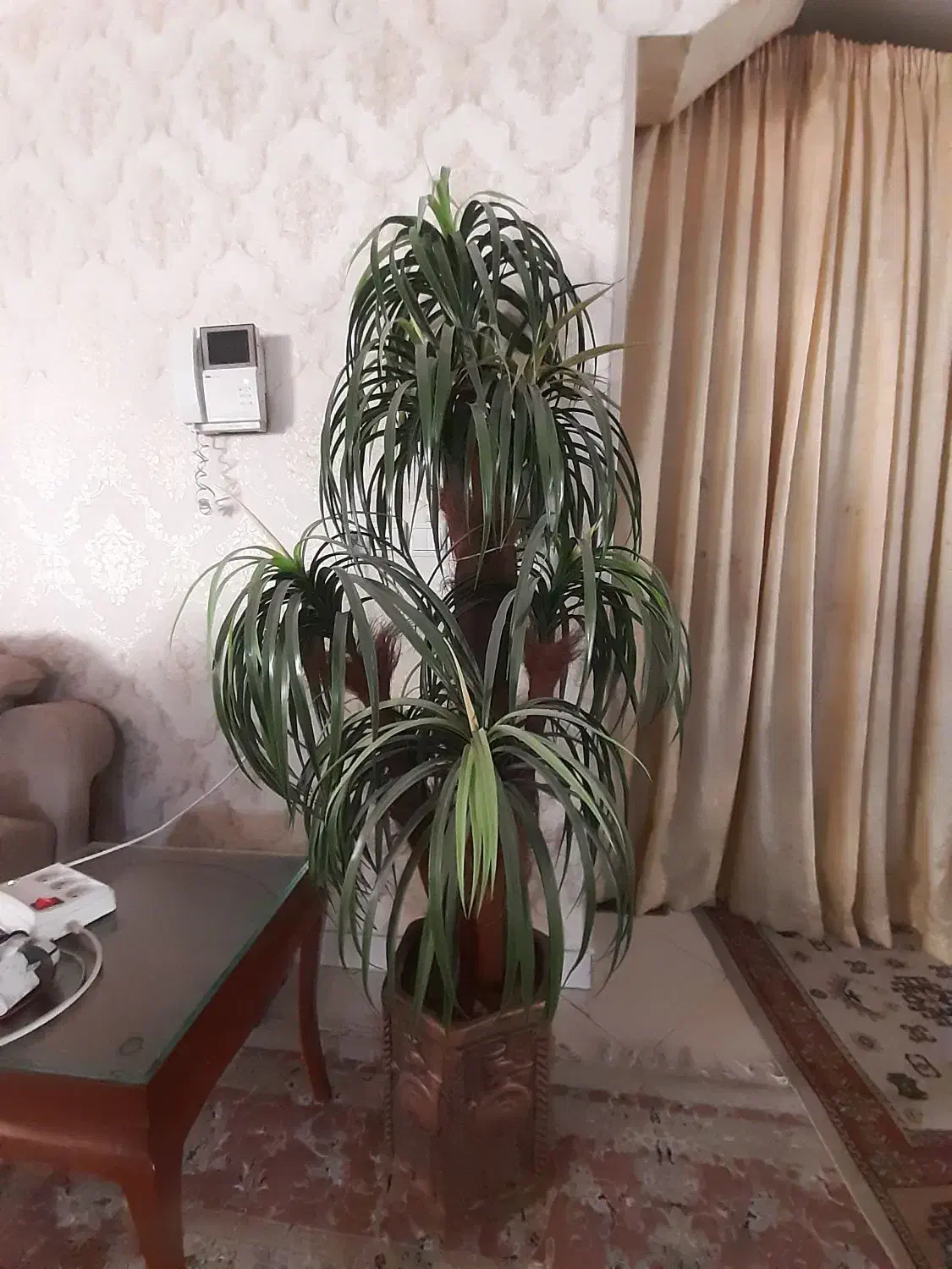 نخل زینتی با گلدان سرامیک هخامنشی|گل مصنوعی|شهریار, شهریار|دیوار