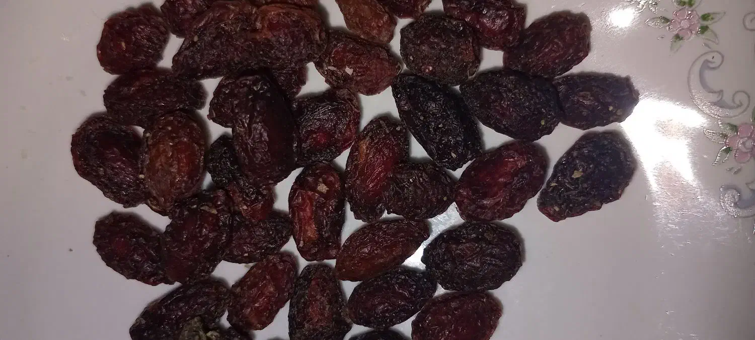زغال اخته خشک|خوردنی و آشامیدنی|اصفهان, اندوان|دیوار