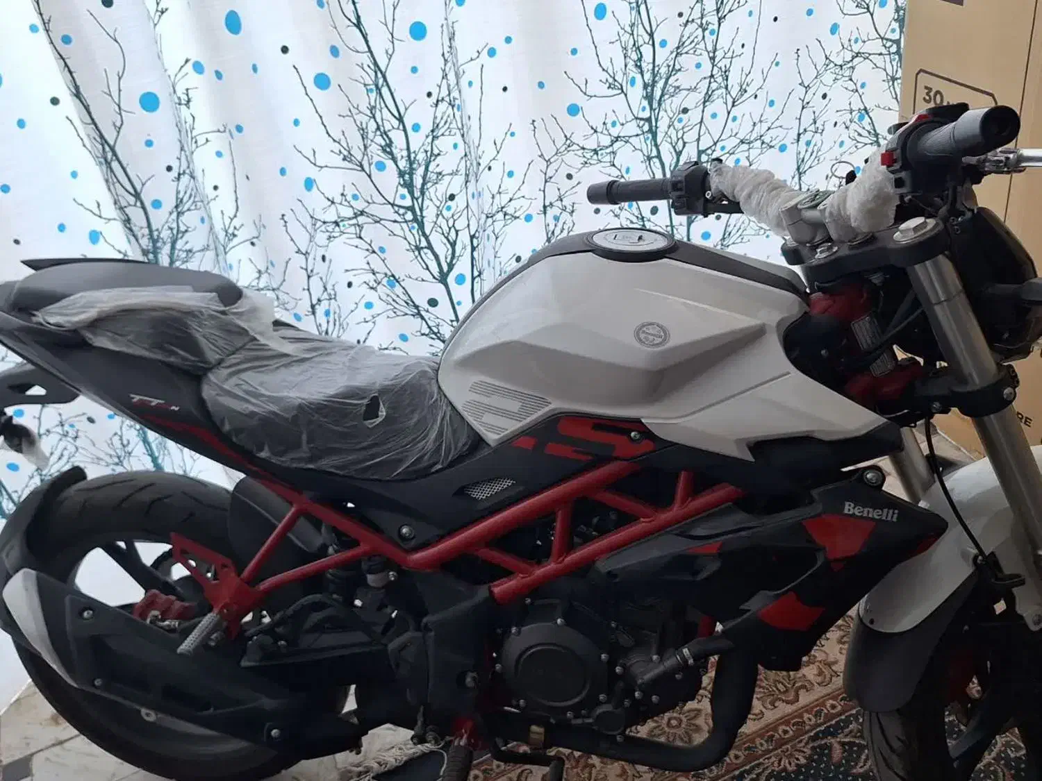موتور سیکلت بنلی 250cc|موتورسیکلت|کاشان, راوند|دیوار