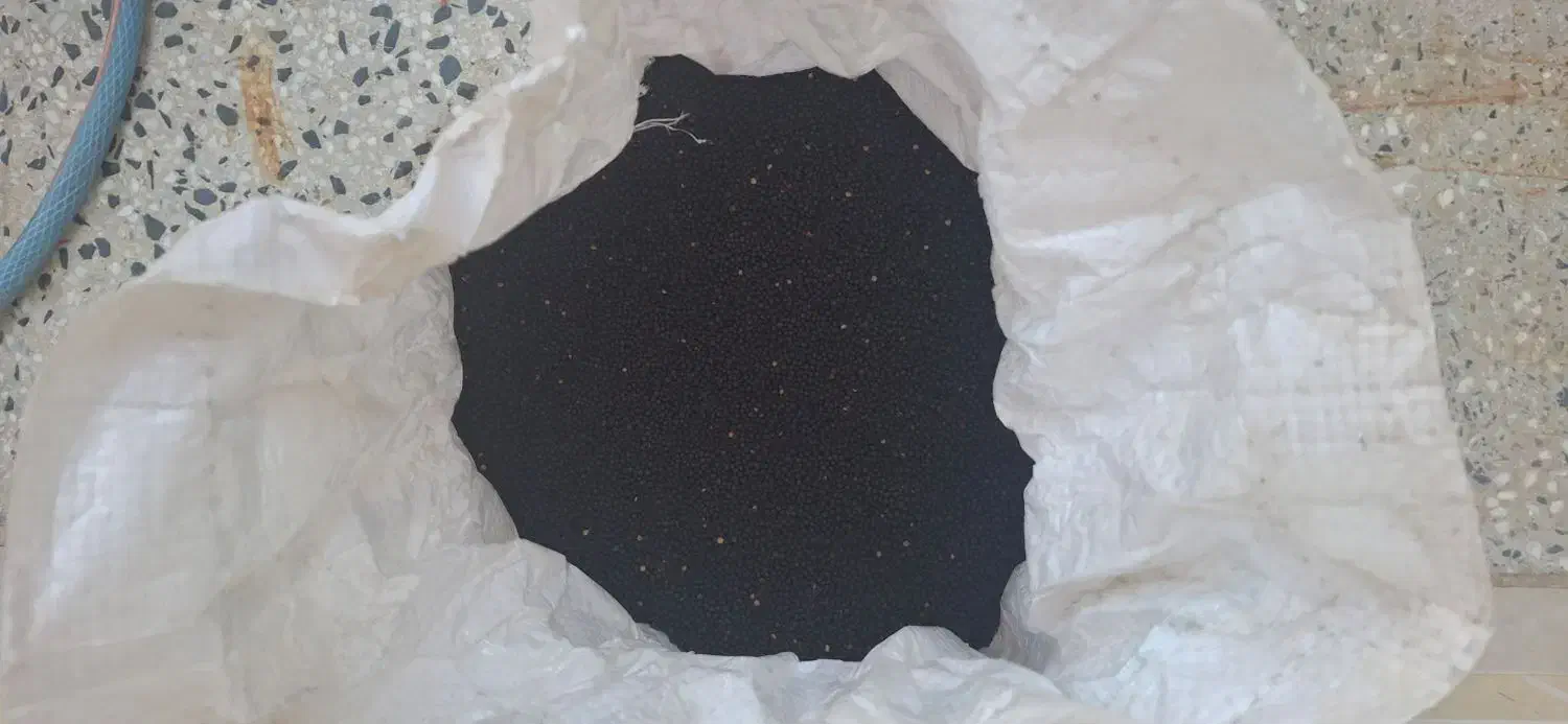 بذرکلزا|گل و گیاه طبیعی|دره شهر, |دیوار