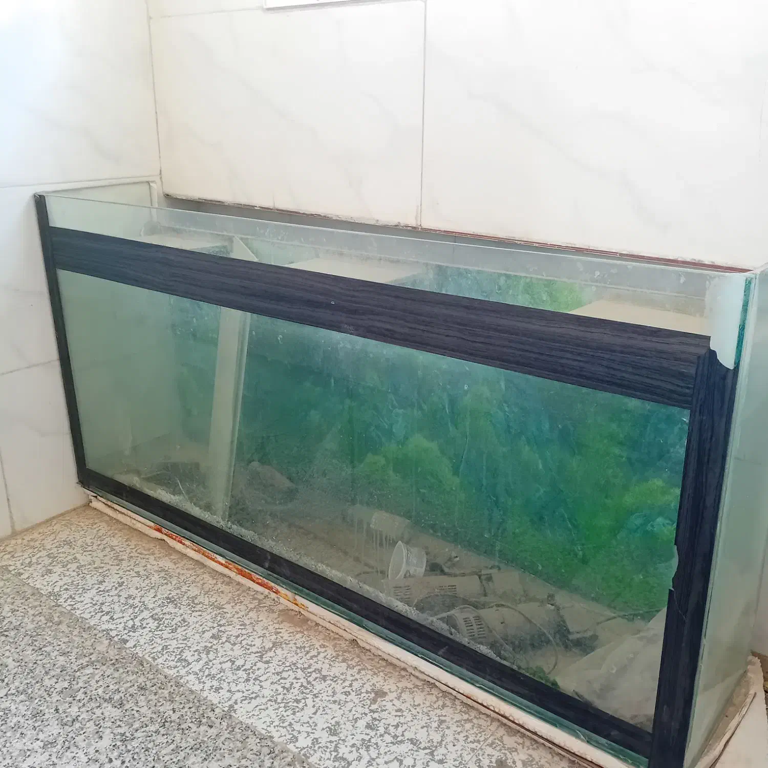 آکواریوم سالم تمیز،باهمه امکانات|ماهی|مبارکه, |دیوار