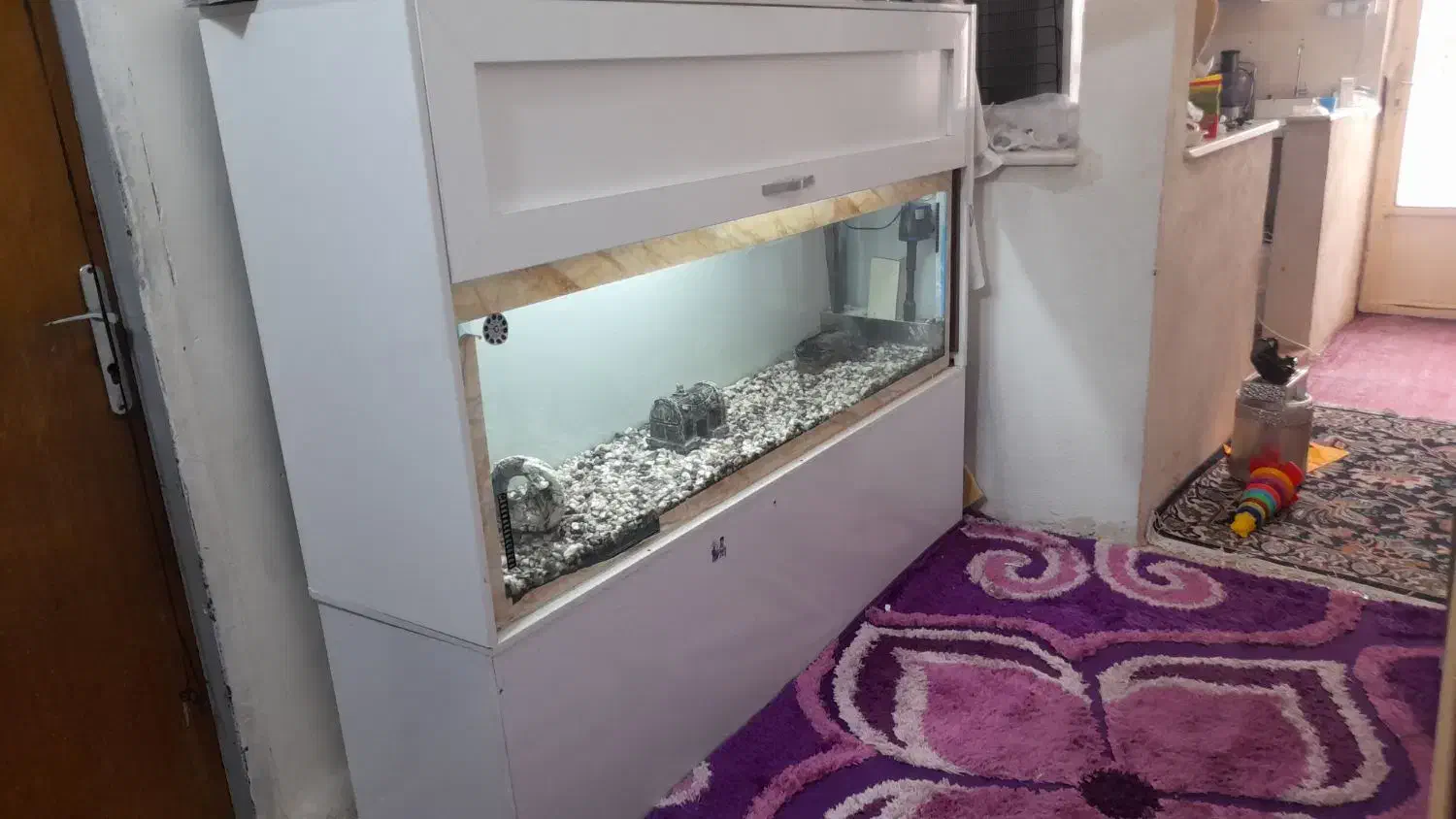 آکواریوم فروشی  ماهی|ماهی|رفسنجان, |دیوار