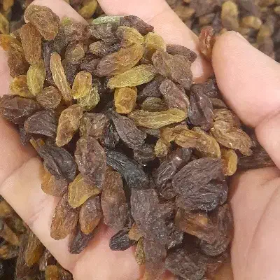 کشمش افتابی درگز ۱۹۰حراج|خوردنی و آشامیدنی|مشهد, عامل|دیوار