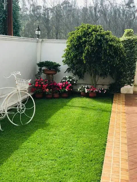 چمن مصنوعی به قیمت درب کارخانه فقط سه روز|گل مصنوعی|خرمشهر, |دیوار