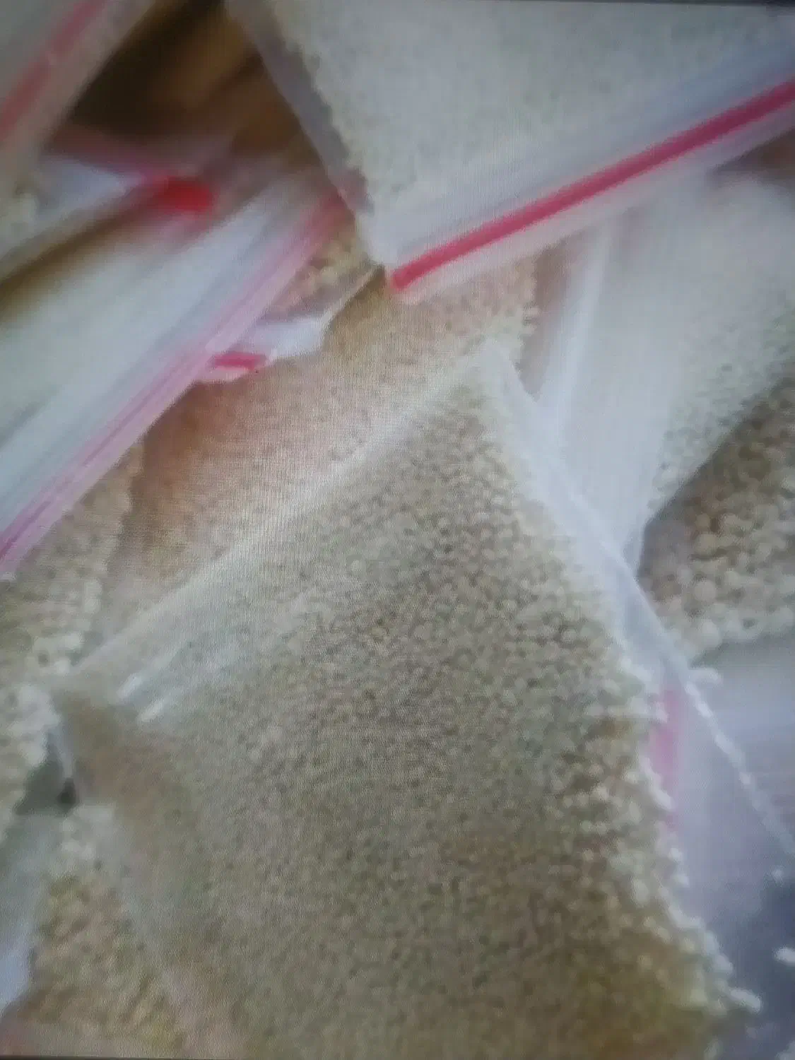 پودر شپش|آرایشی، بهداشتی، درمانی|کهنوج, |دیوار