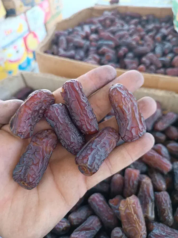 فروش  خرما از باغدار بدون واسطه|عمده‌فروشی|تهران, تختی|دیوار