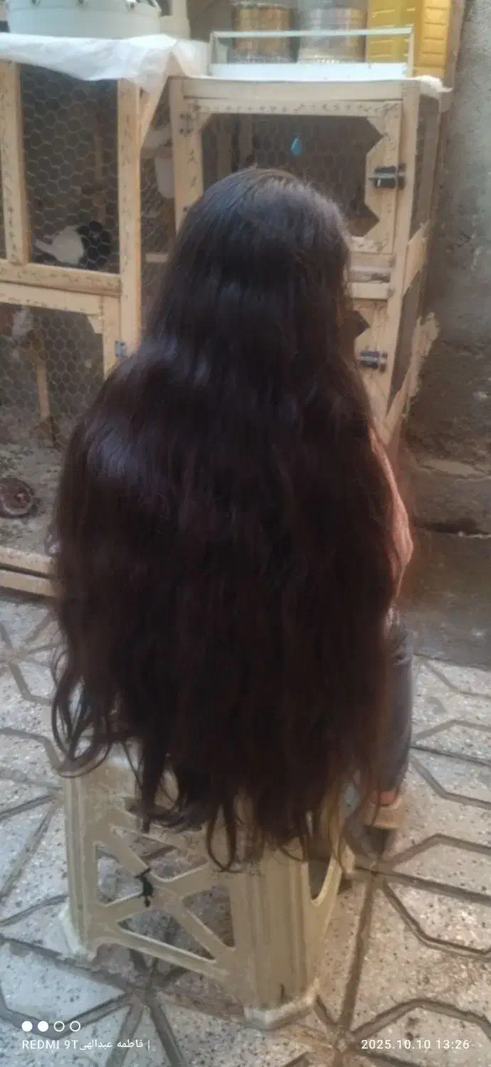 خریدار موی طبیعی ورنگ شده|خدمات آرایشگری و زیبایی|مشهد, ایوان|دیوار