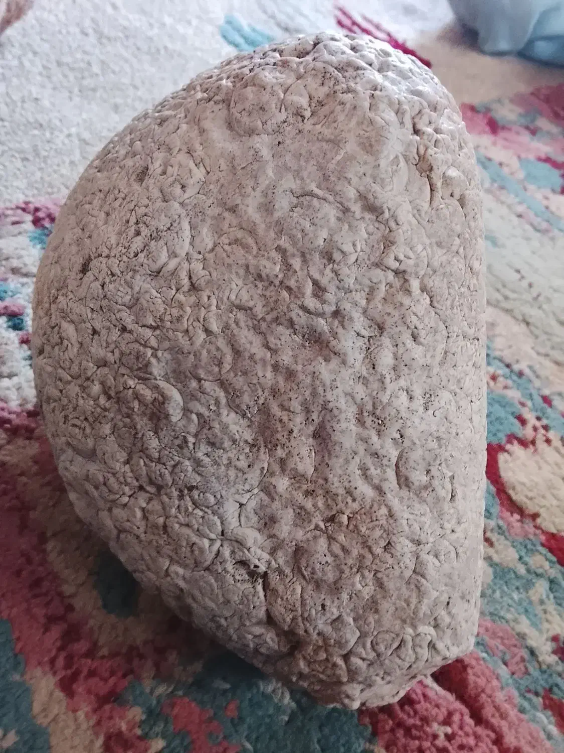 فروش شهاب سنگ|کلکسیون اشیاء عتیقه|چابهار, |دیوار