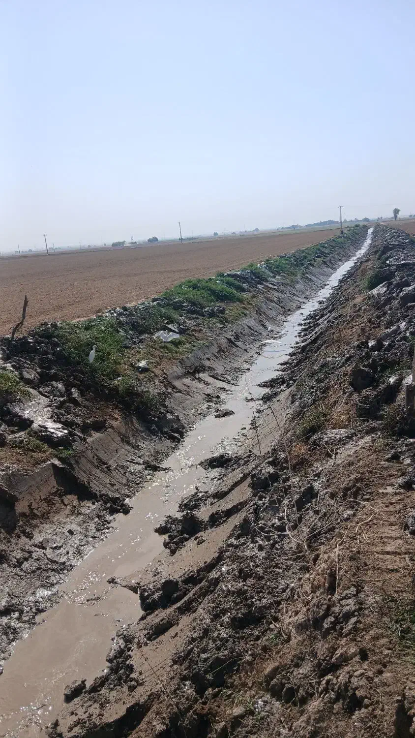 اجاره بیل|خدمات حمل و نقل|اندیمشک, |دیوار