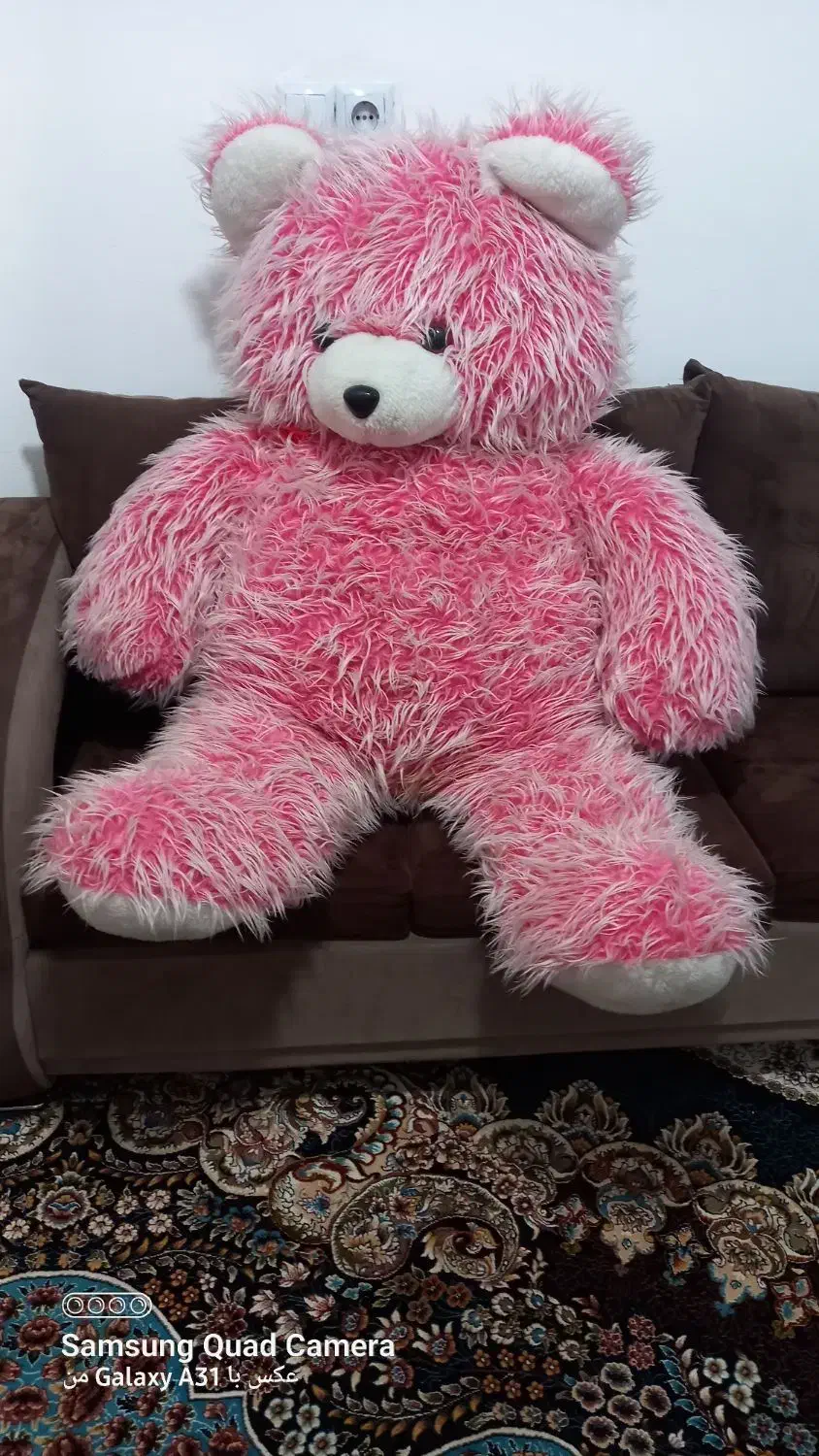 خرس صورتی|اسباببازی|قزوین, |دیوار