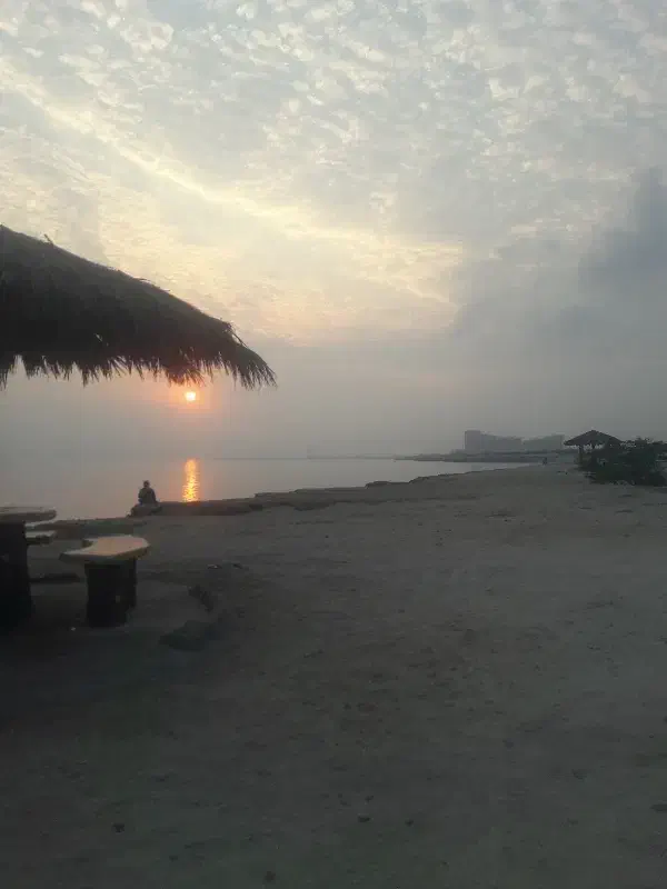 پیاده روی|فعالیت داوطلبانه|کیش, |دیوار