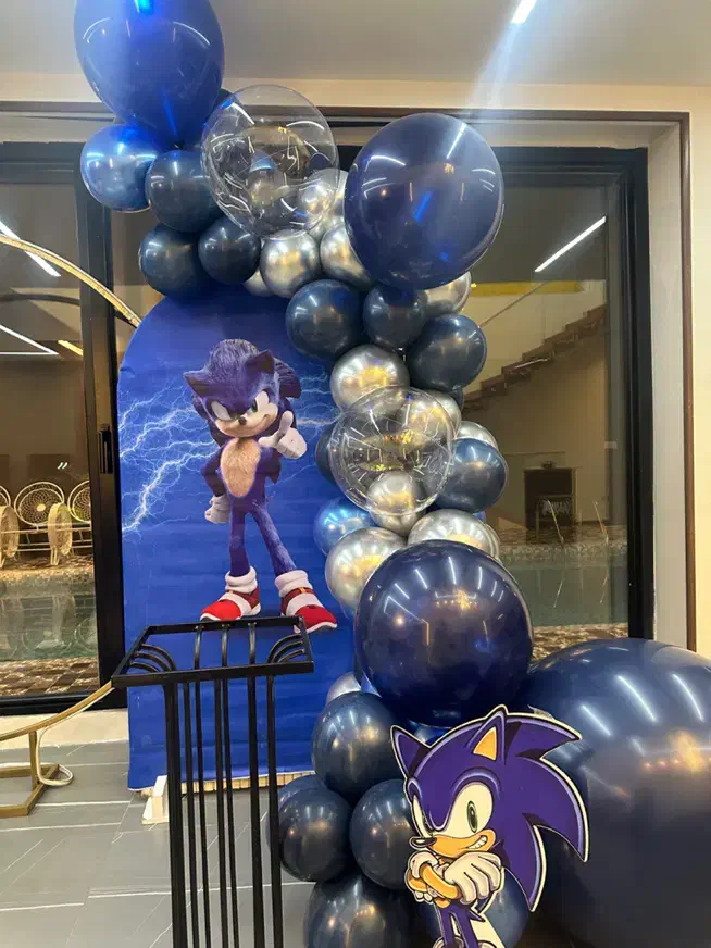 تم سونیک|اسباب‌‌بازی|تهران, خواجه نظام الملک|دیوار