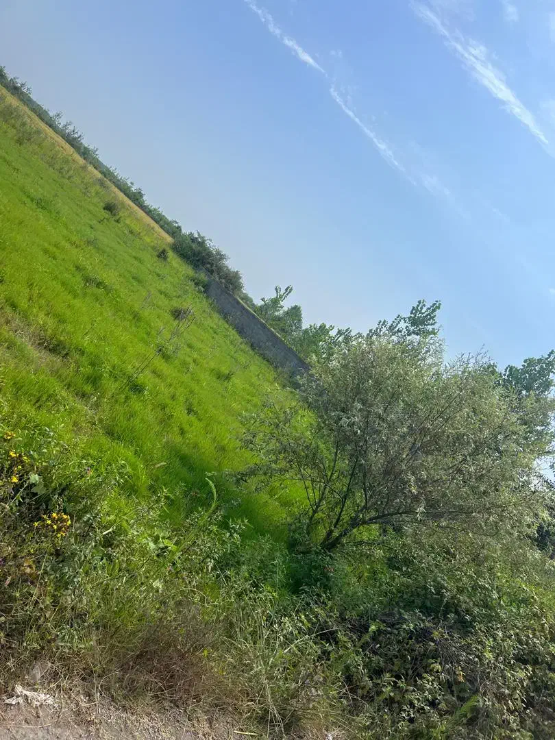 زمین مسکونی و جای آب هوای خوب|فروش زمین و ملک کلنگی|تولم شهر, |دیوار