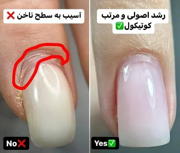 کاشت|گردهمایی و همایش|شوشتر, |دیوار